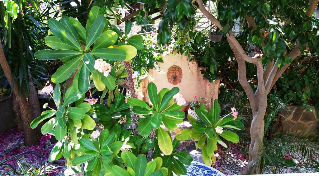 B&B Le Terrazze Capo dʼOrlando Exterior foto
